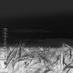 Zwart-wit fotografie tip: Buitenaards effect met een infraroodfilter